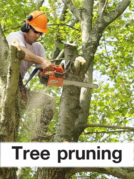 Nemo quaerat nam beatae iusto minima vel